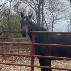 Meet your Posher, Marybeth